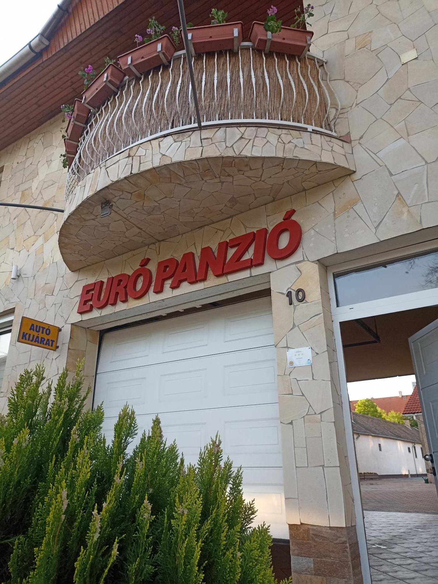 Euro Panzio 2*